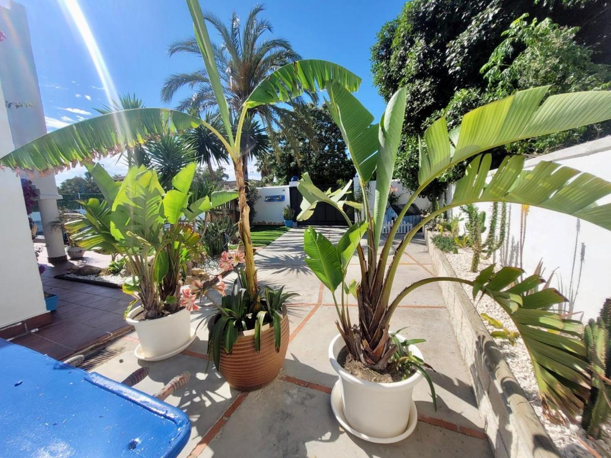 Gatu Premium Villa Lurberri Piscina Privada, 4 Dormitorios, 2 Banos, Parking , Jardines, " Preferente Mayores De 25 Anos Y Familias " In Y Barbacoa Chiclana de la Frontera Ngoại thất bức ảnh